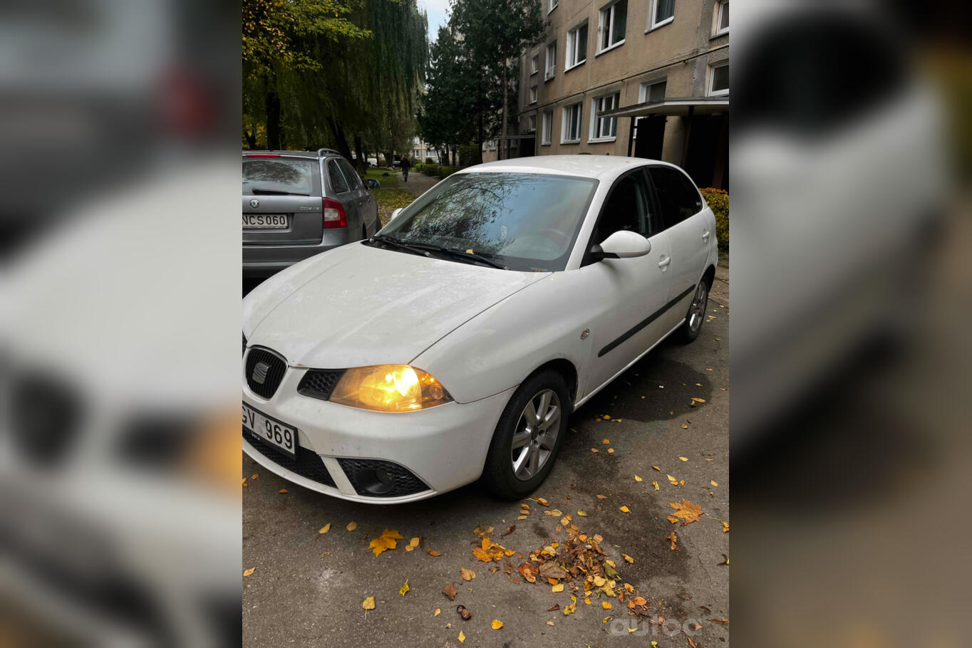 SEAT Ibiza