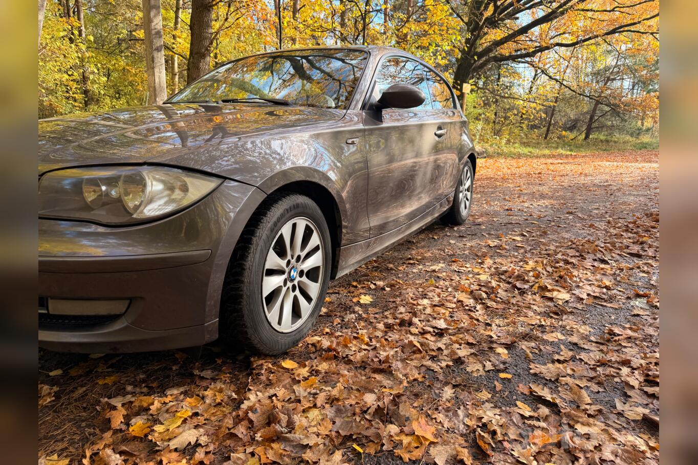 BMW 116 2009