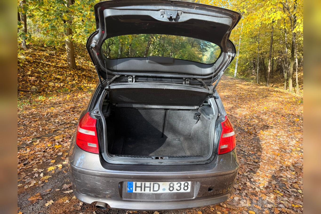 BMW 116 2009
