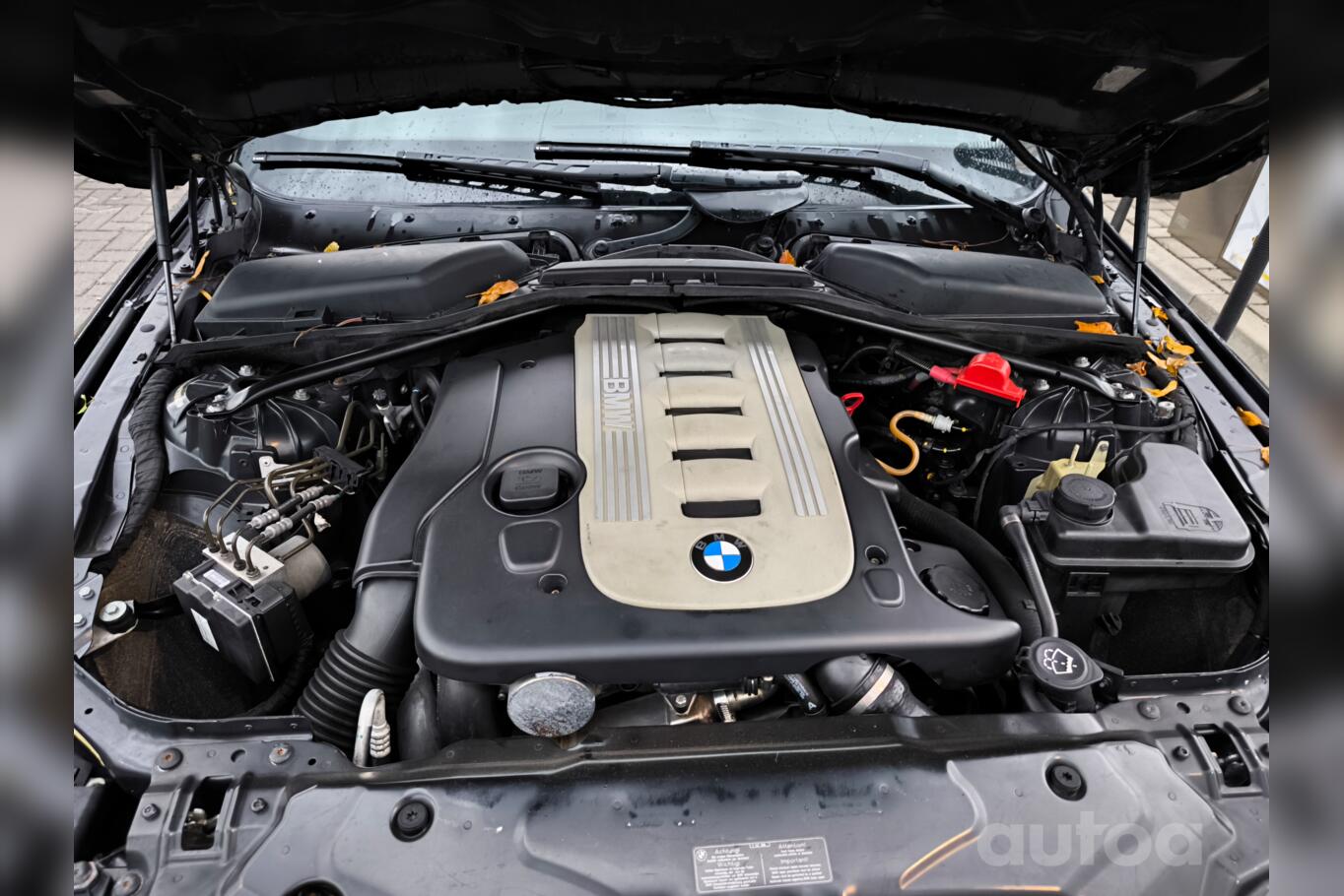 BMW 525 2012