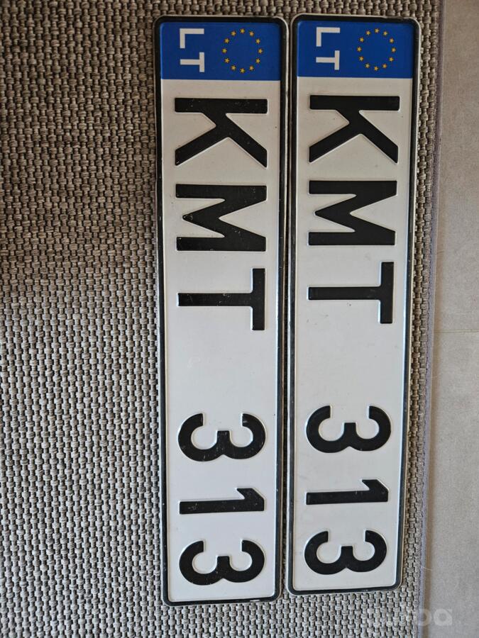 KMT313