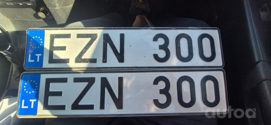 EZN300