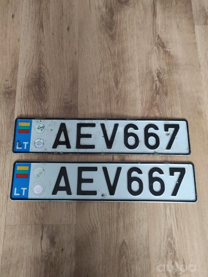 AEV667