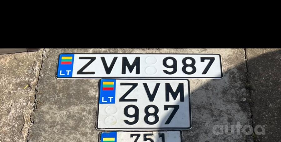 ZVM987