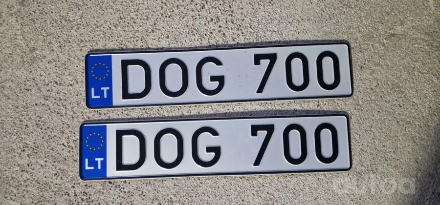 DOG700