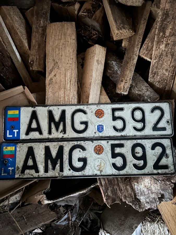 AMG 592