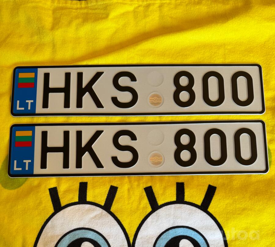 HKS800