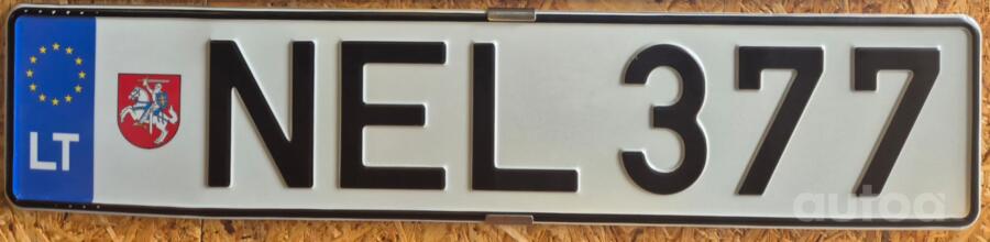 NEL 377