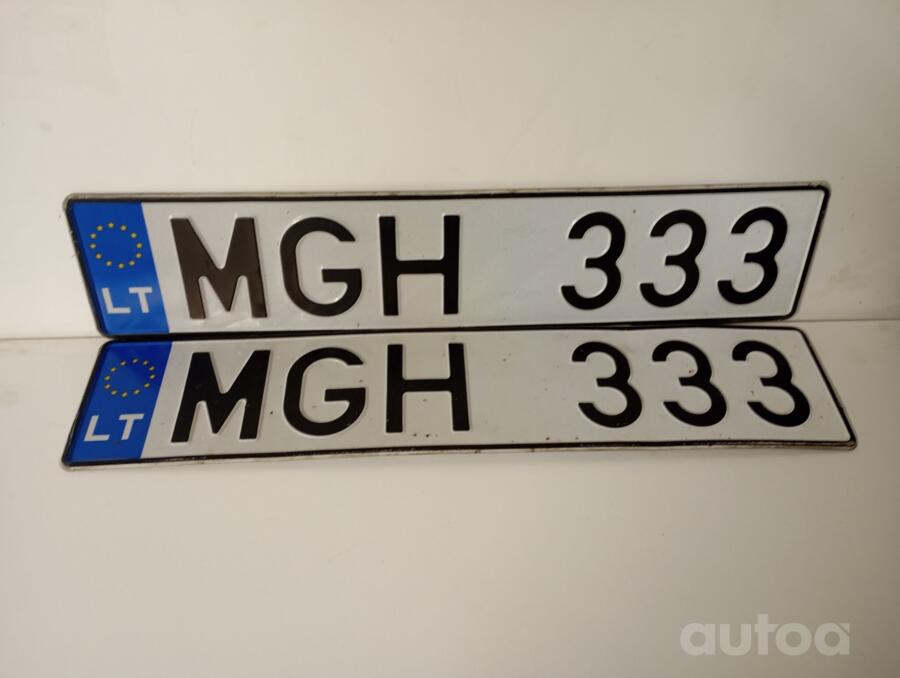 MGH333