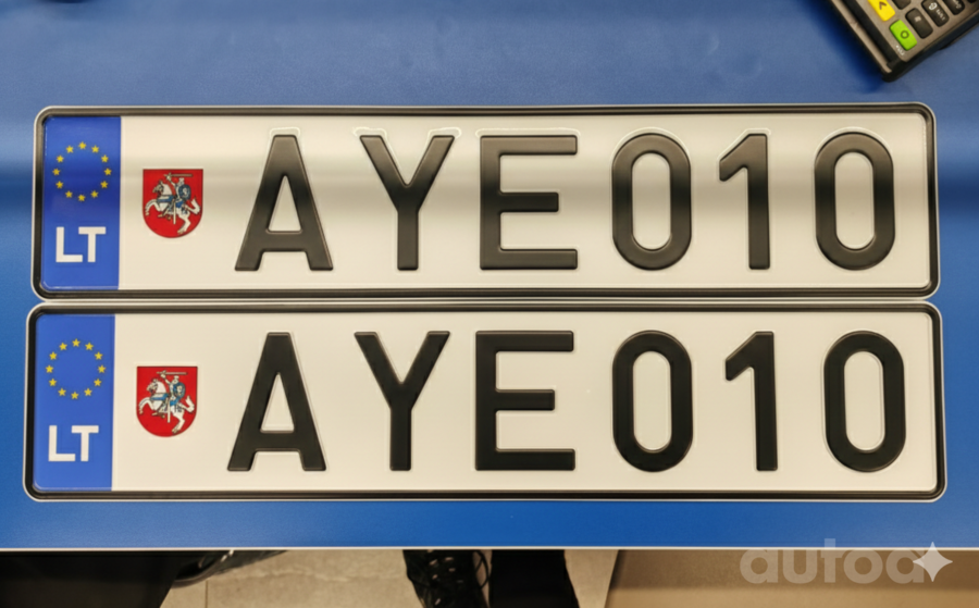 AYE010