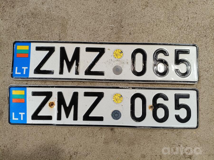 ZMZ065