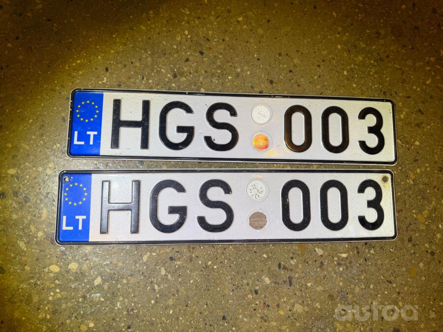 HGS003