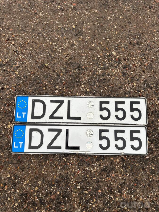 DZL555