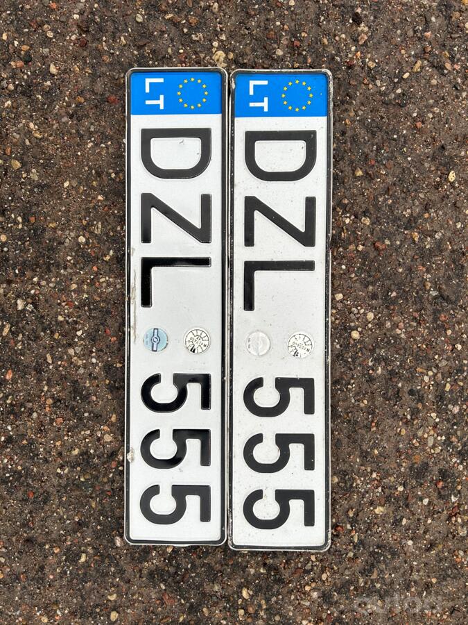 DZL555