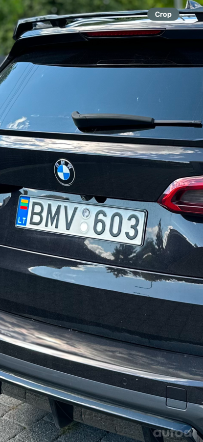 BMV603