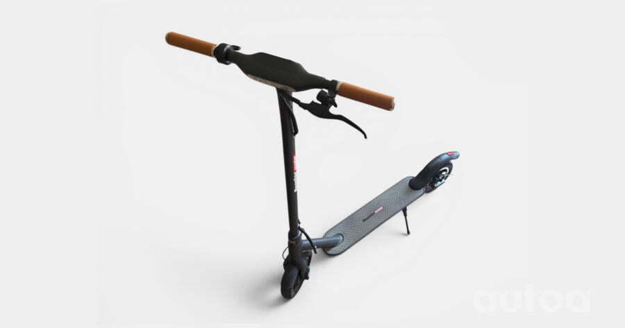 Beaster Scooter Bs06