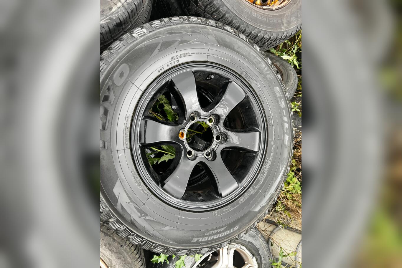 Toyo