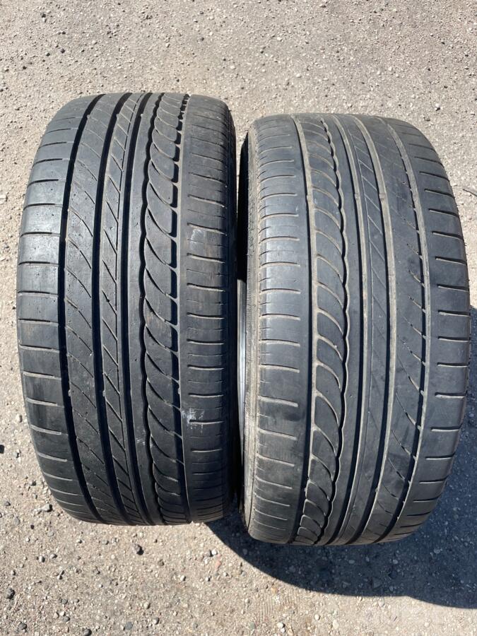 Delfin