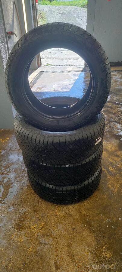 Hankook