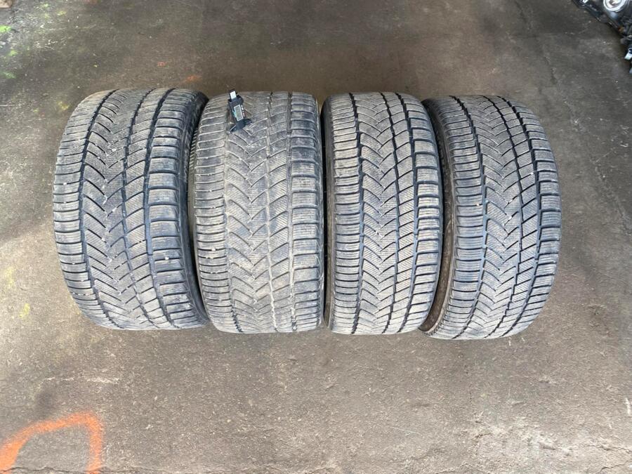 Sunny