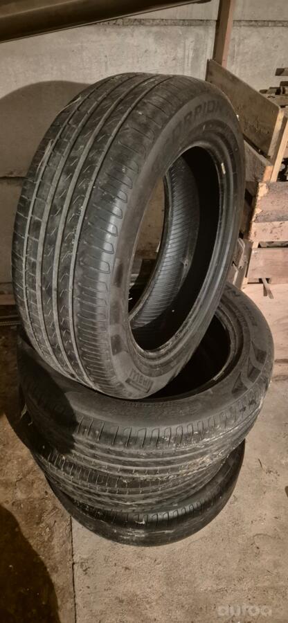 Pirelli