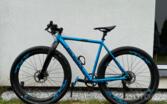 Koga Beachracer