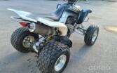 Yamaha Raptor