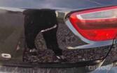 SEAT Exeo