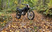 MZ SX