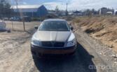 Skoda Octavia 2 generation [restyling] Combi wagon 5-doors