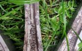 Other, light alloy