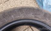 Nexen