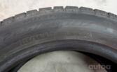 Pirelli