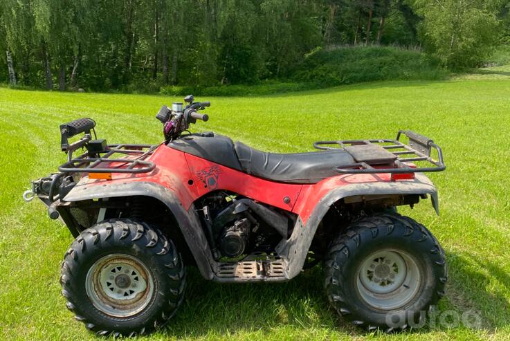 Arctic Cat 500