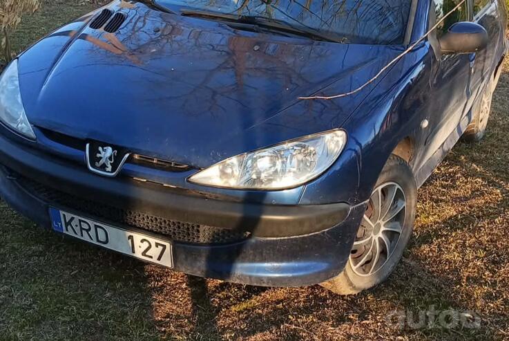Peugeot 206 1 generation [restyling] Escapade wagon 5-doors