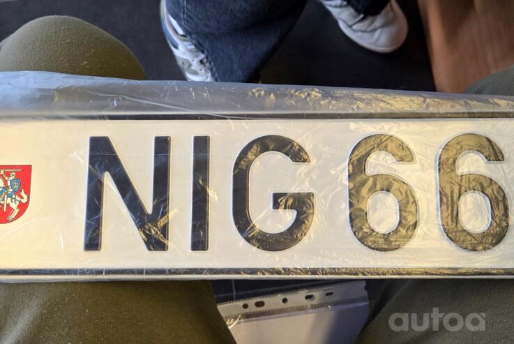 NIG666