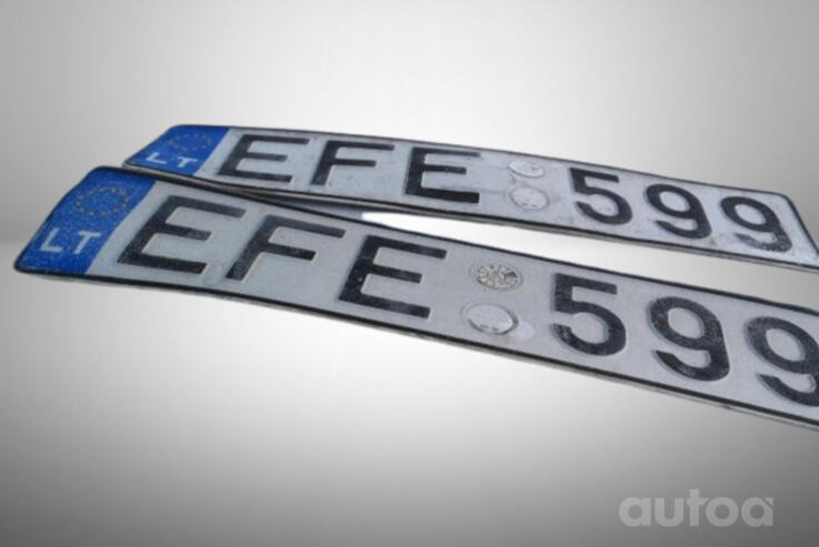 EFE599