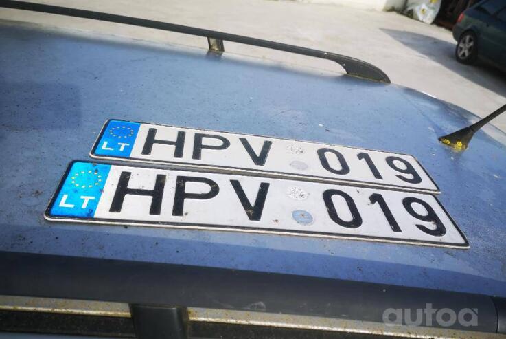 HPV019