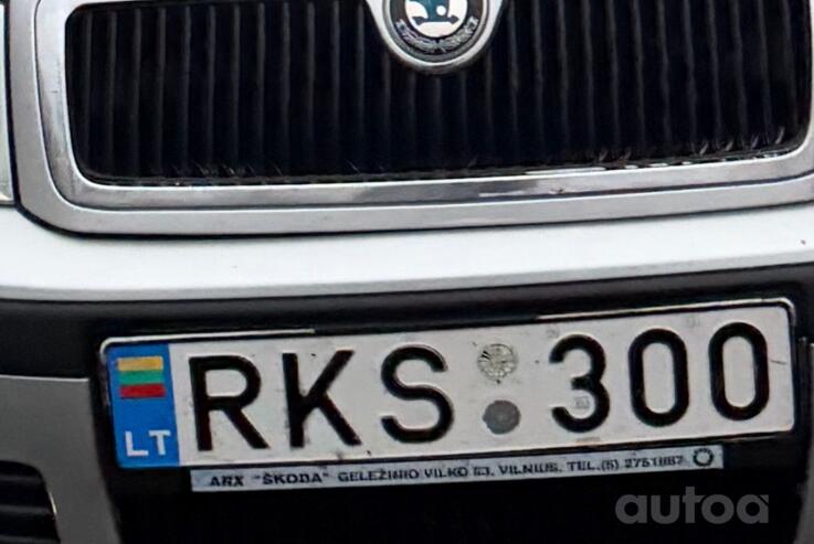 RKS300