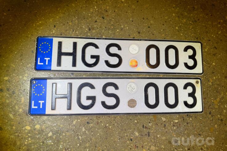 HGS003