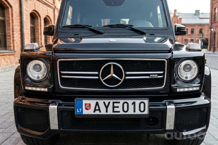 AYE010
