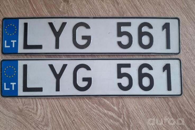 LYG561