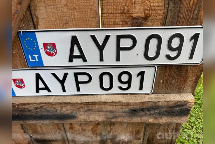 AYP091