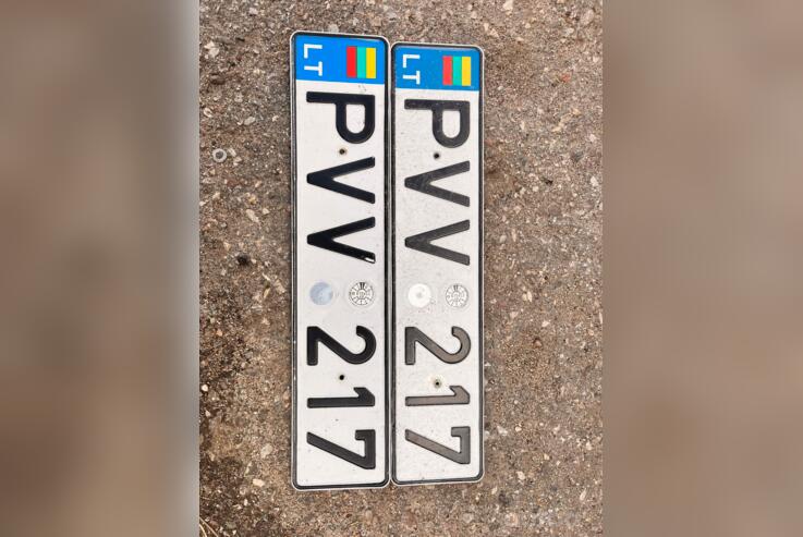PVV217