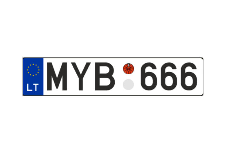 MYB666