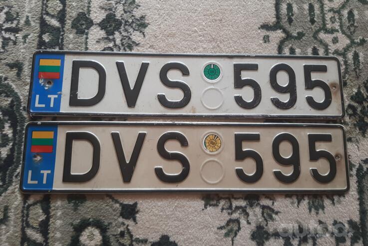 DVS595