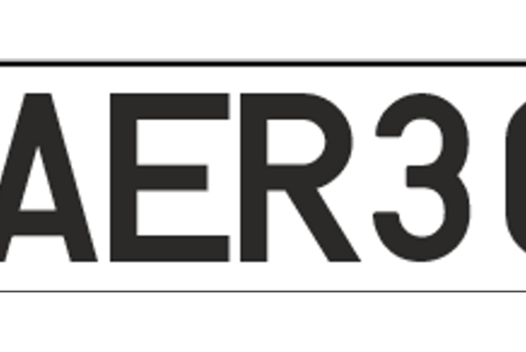 AER301