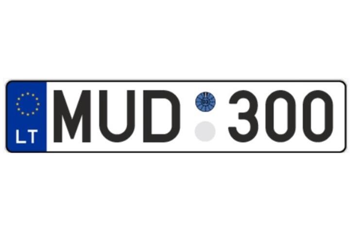 MUD300