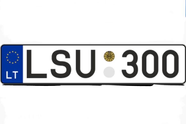 LSU300