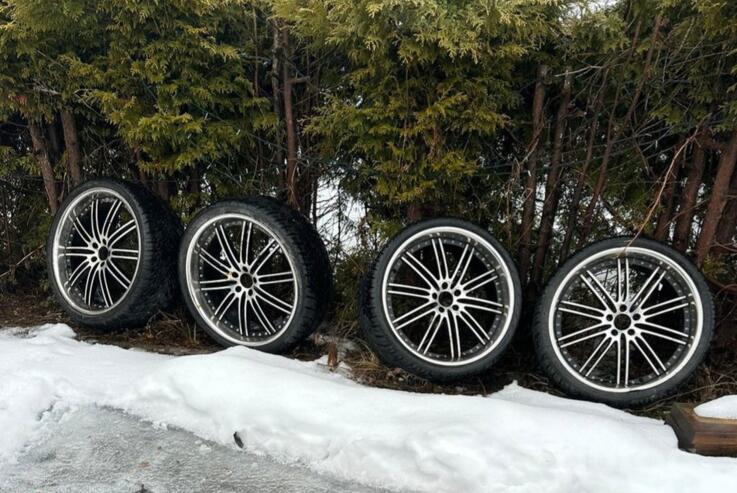Vertini, light alloy